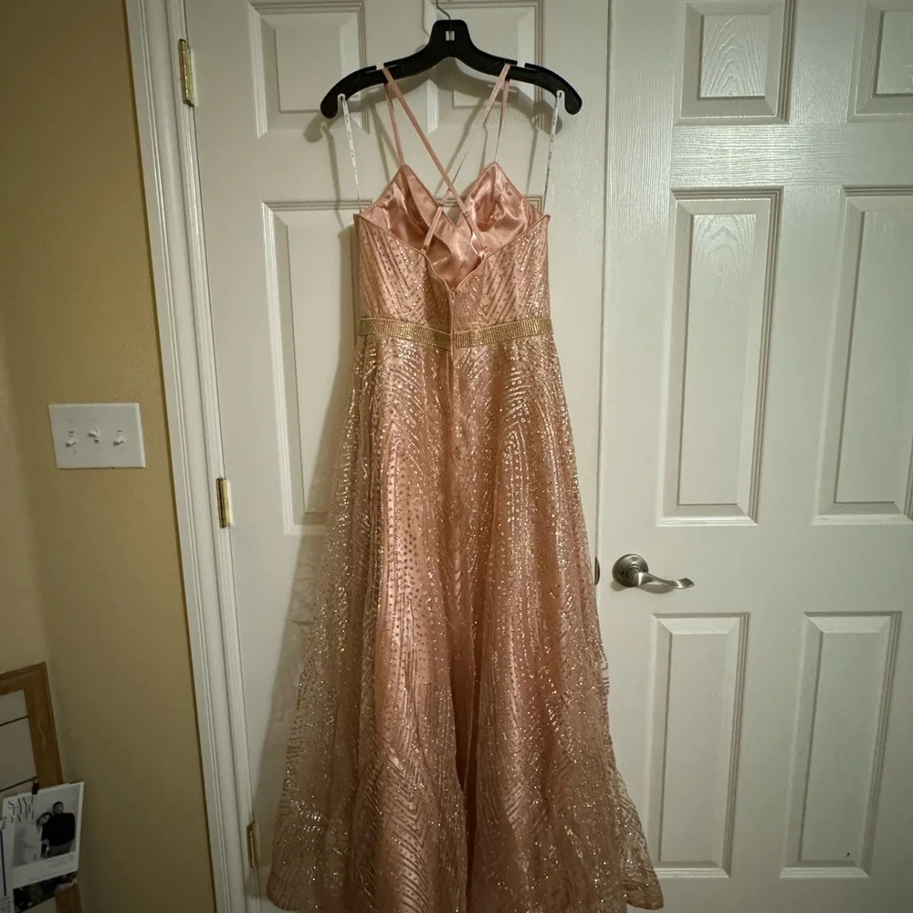 Pink Gown - Picture 10 of 11